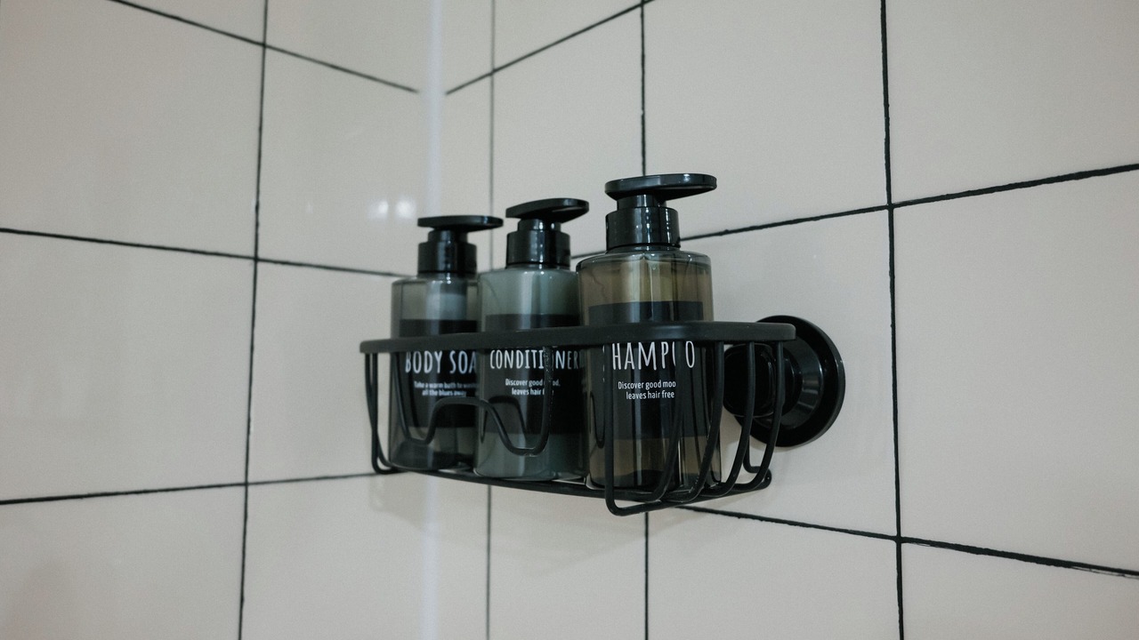 Photo of Bathroom in Legislature