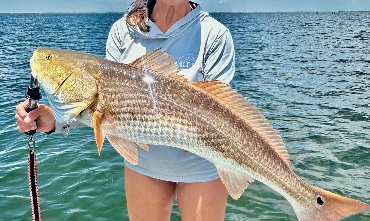 Photo of Others in Flour Bluff