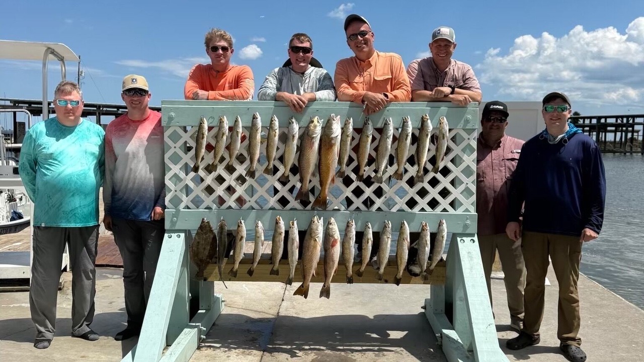 Photo of Others in Flour Bluff