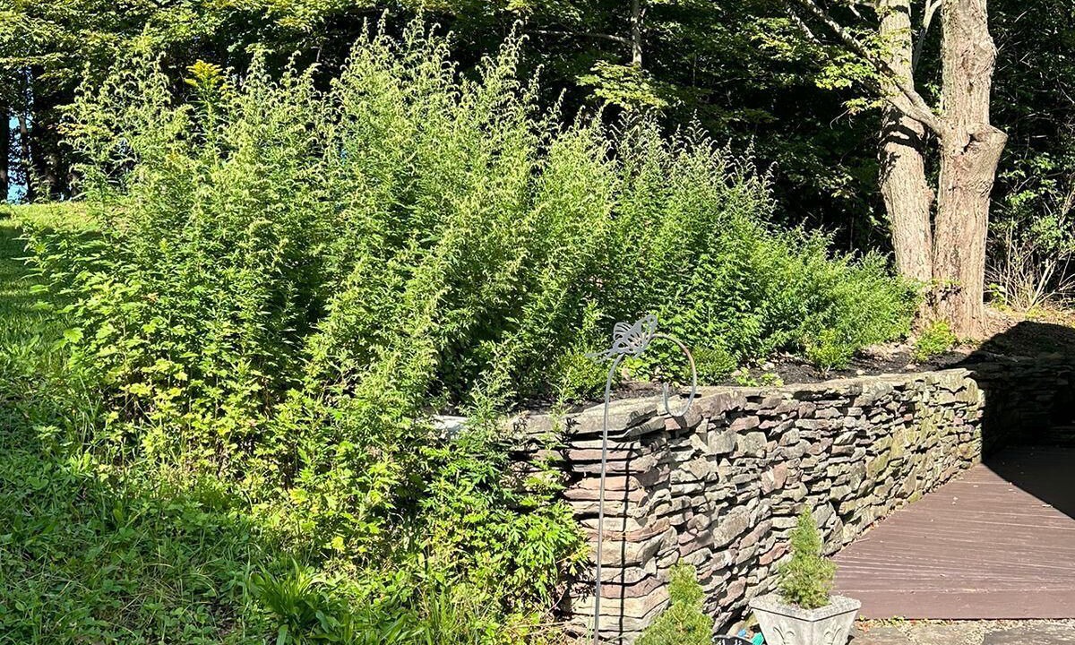 Photo of Outdoor in Stamford