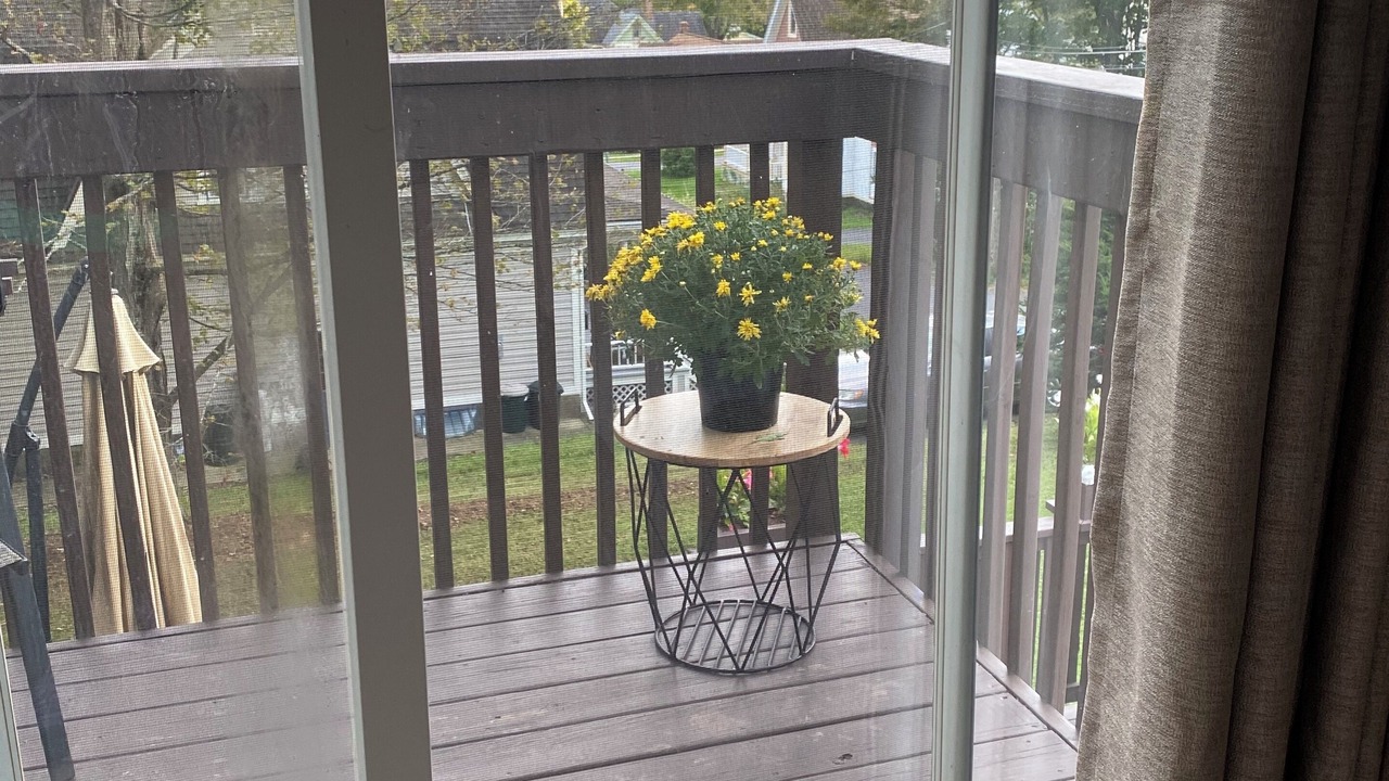 Photo of Others in Stamford