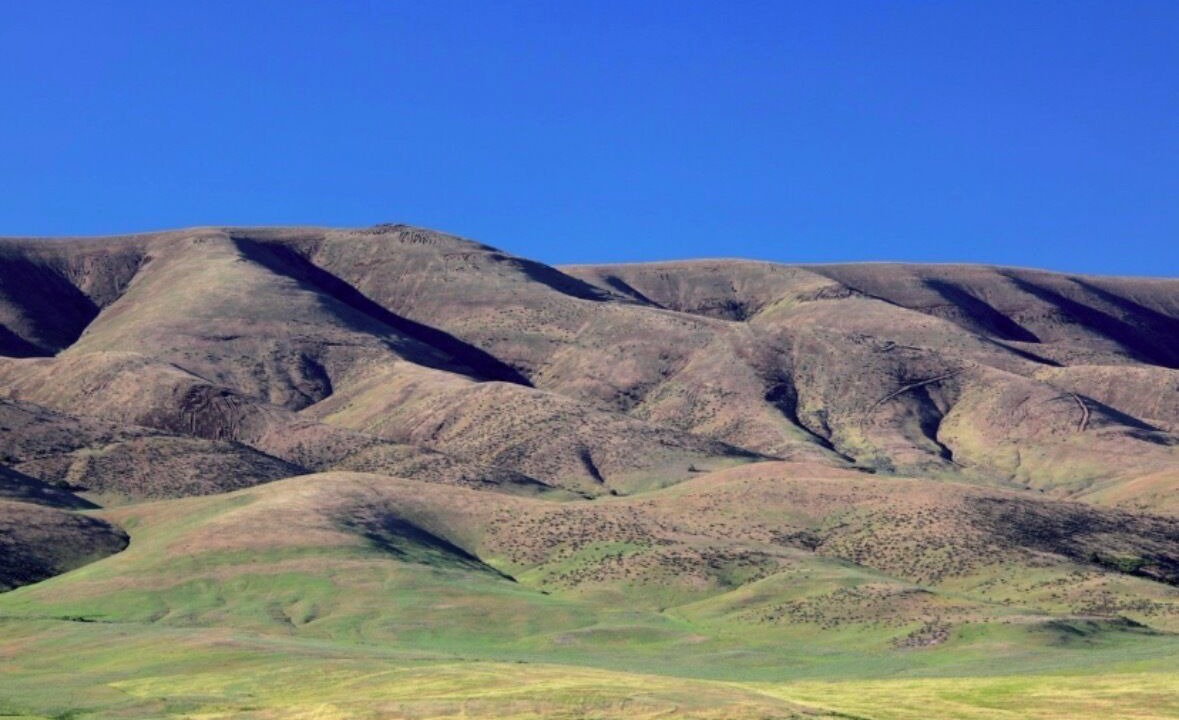 Photo of Others in Tygh Valley