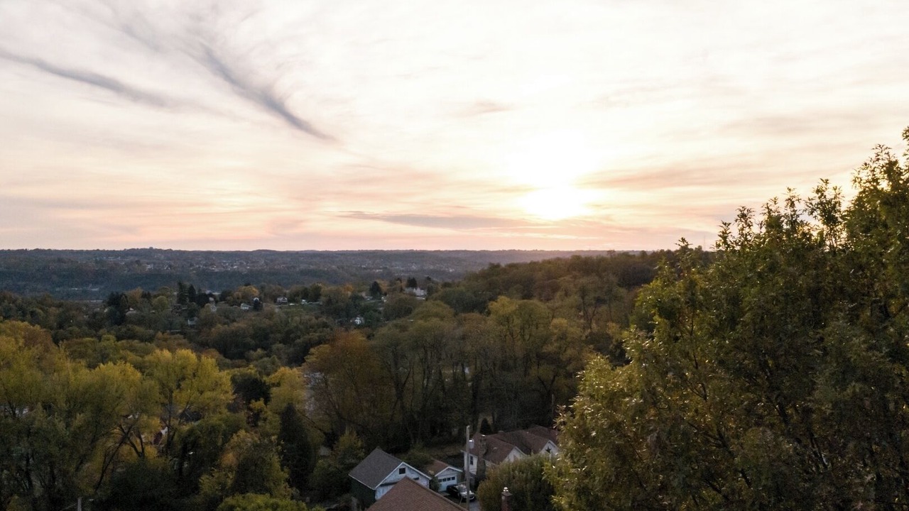 Photo of Others in Forest Hills