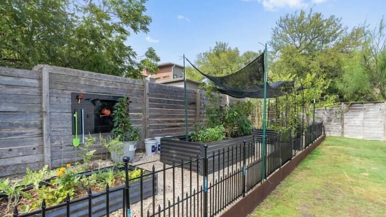 Photo of Outdoor in Chestnut