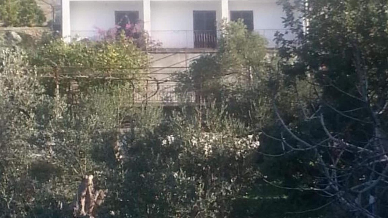 Photo of Outdoor in Krucica