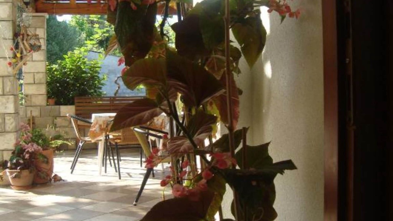 Photo of Others in Krucica