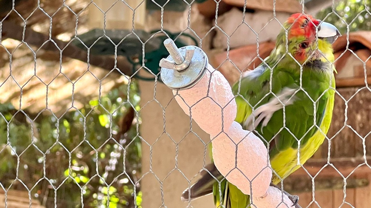 Photo of Others in Saint-Maximin-la-Sainte-Baume