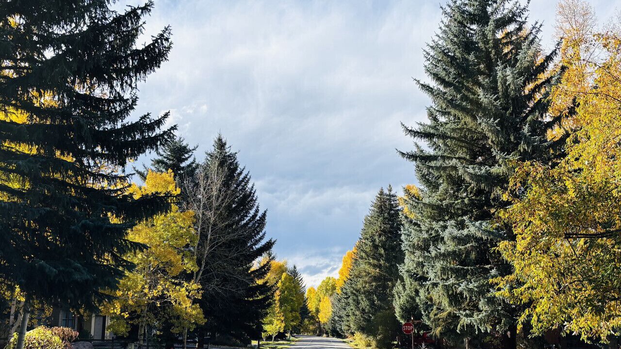 Photo of Others in Eagle-Vail