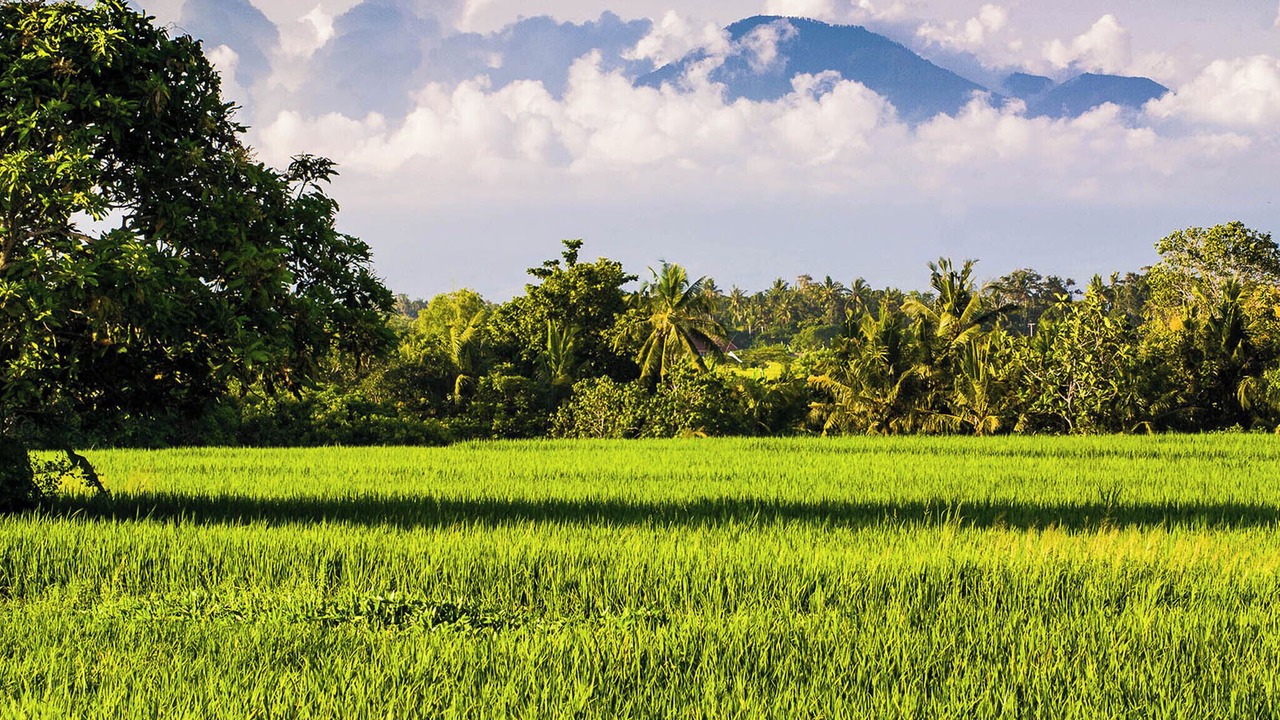 Photo of Others in Cemagi