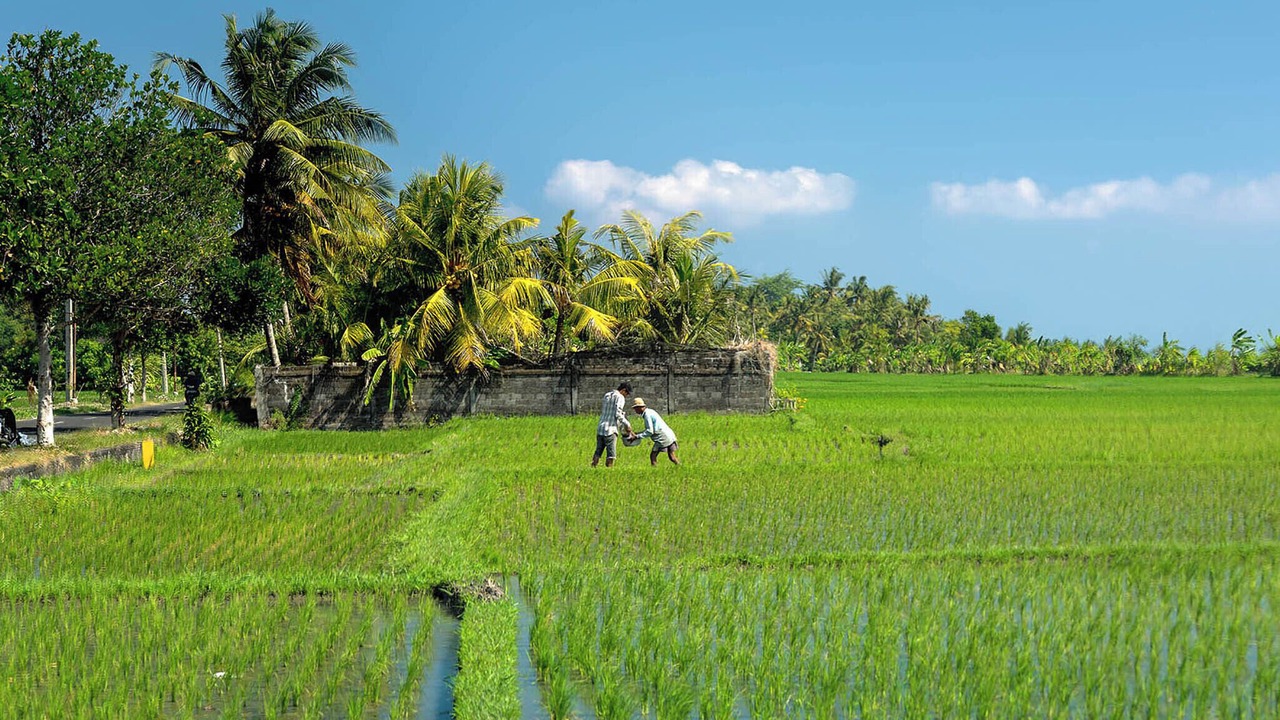 Photo of Others in Cemagi