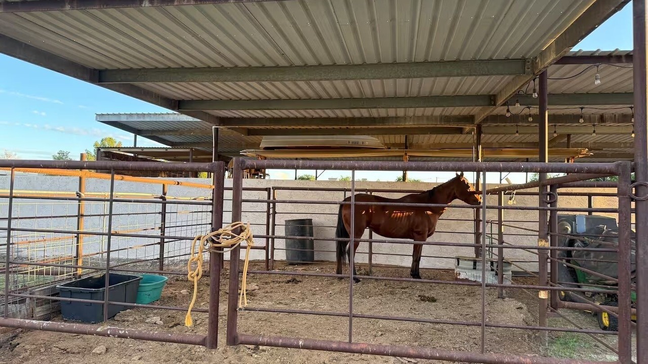 Photo of Others in Chandler Heights Citrus