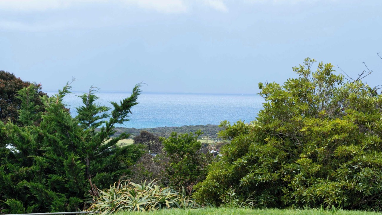 Photo of Others in Jan Juc