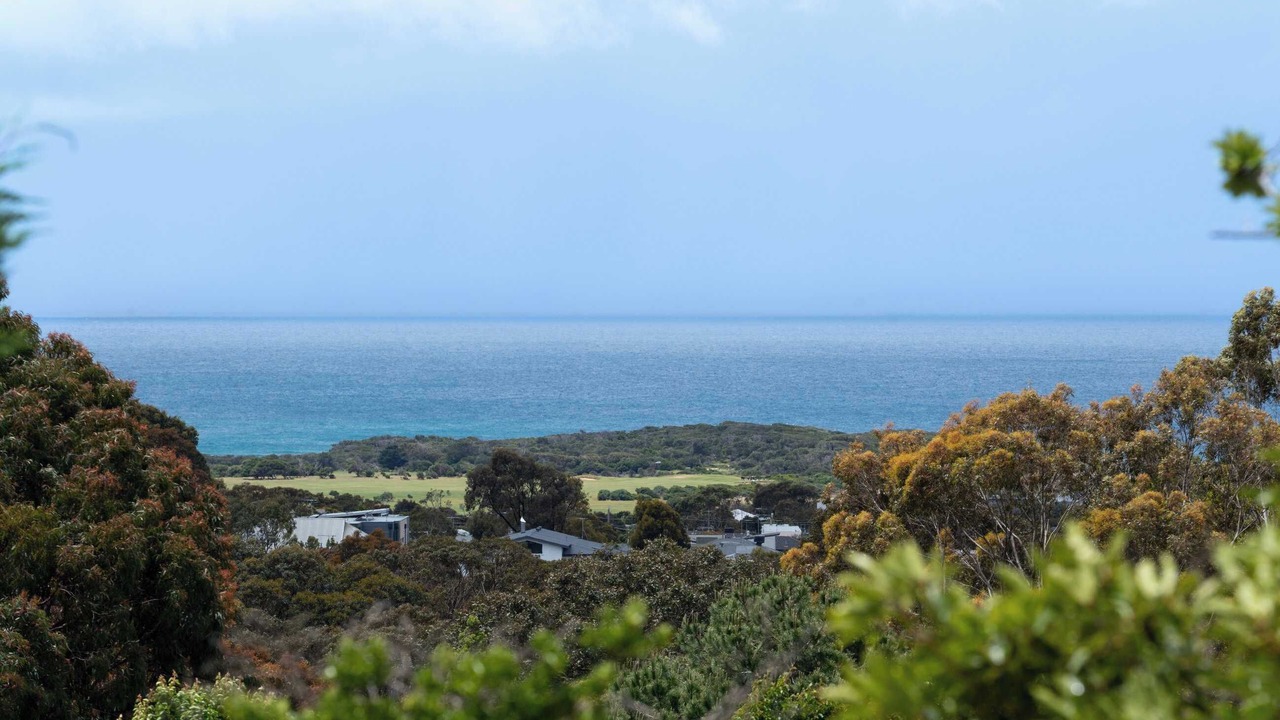 Photo of Others in Jan Juc