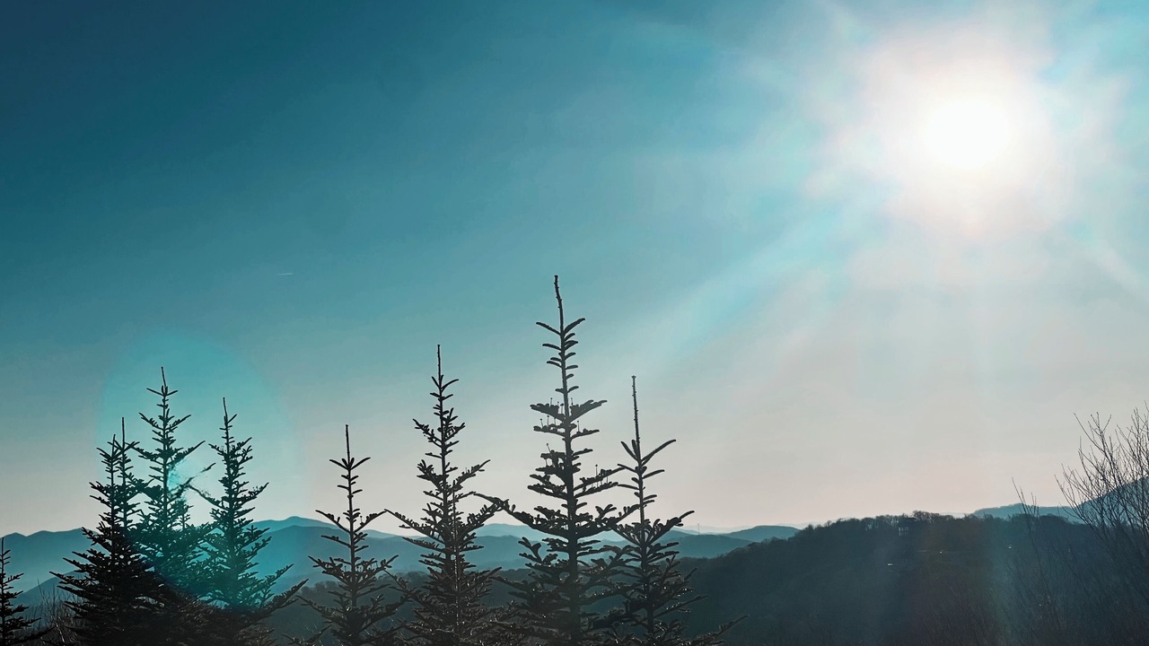 Photo of Others in Sugar Mountain