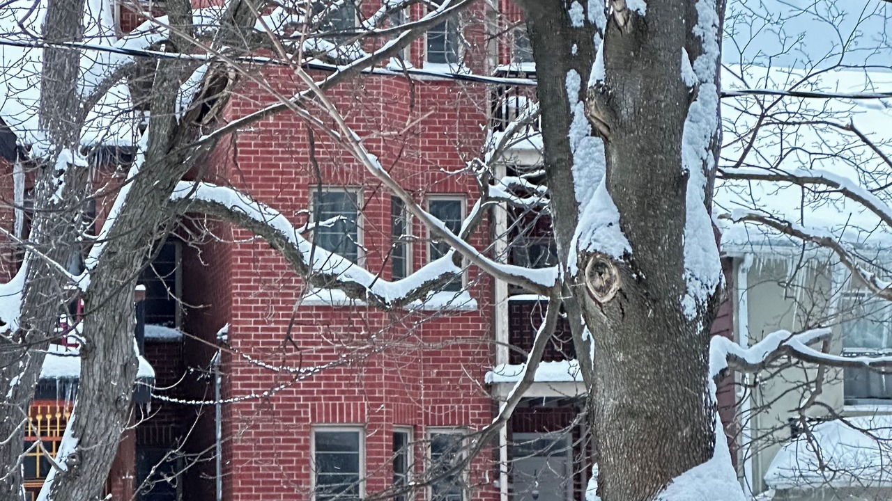 Photo of Outdoor in Cabbagetown