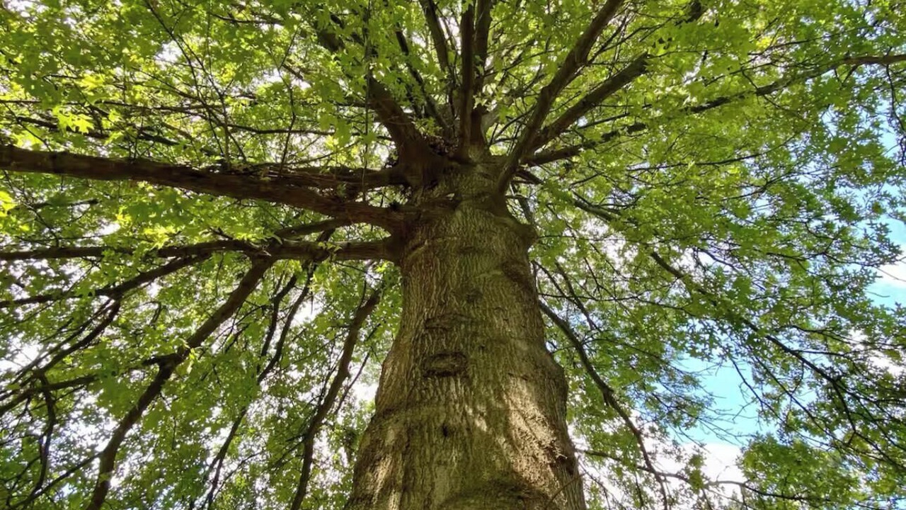 Photo of Others in Hershey