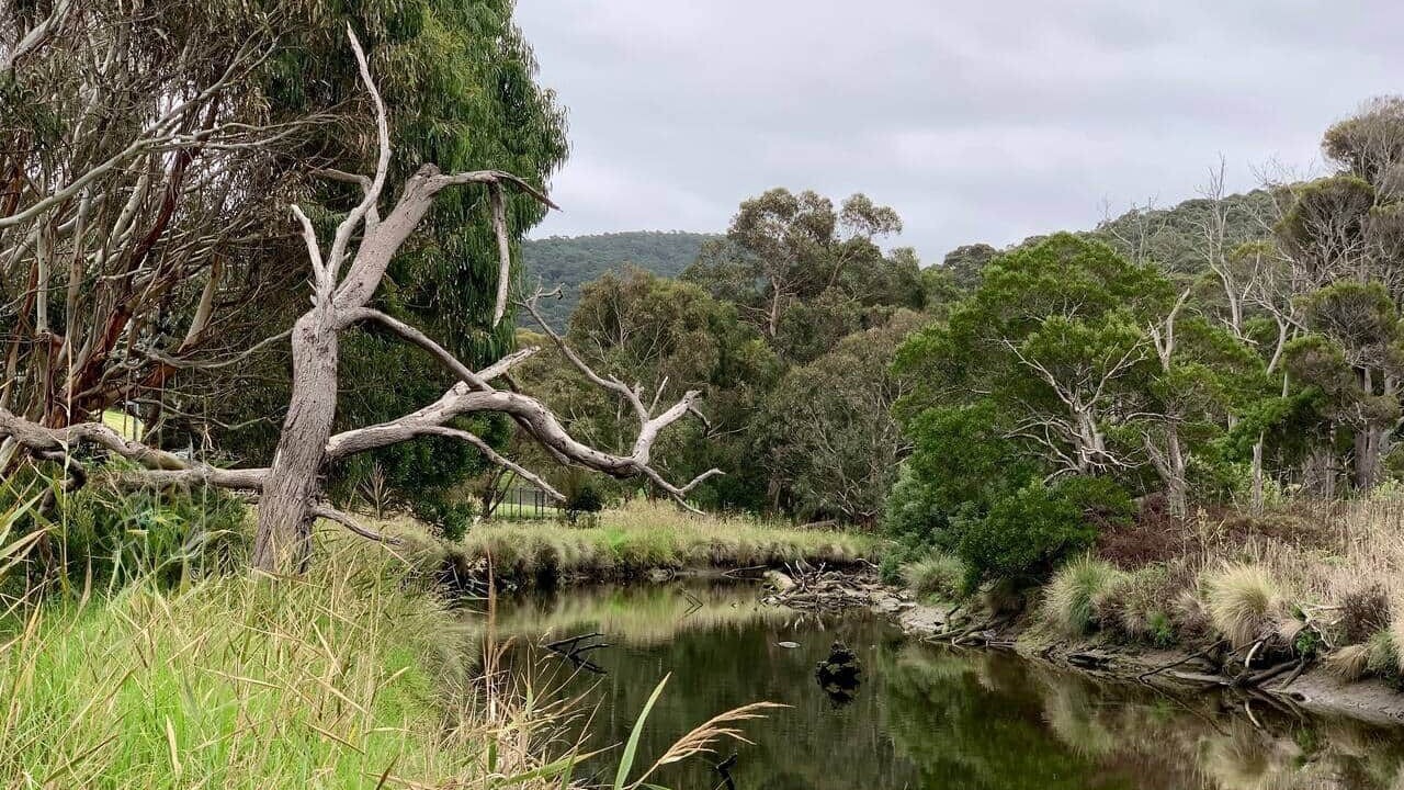 Photo of Others in Kennett River