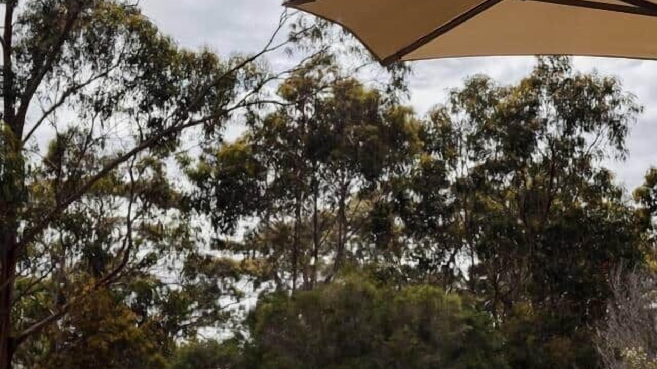 Photo of Patio Balcony in Kennett River