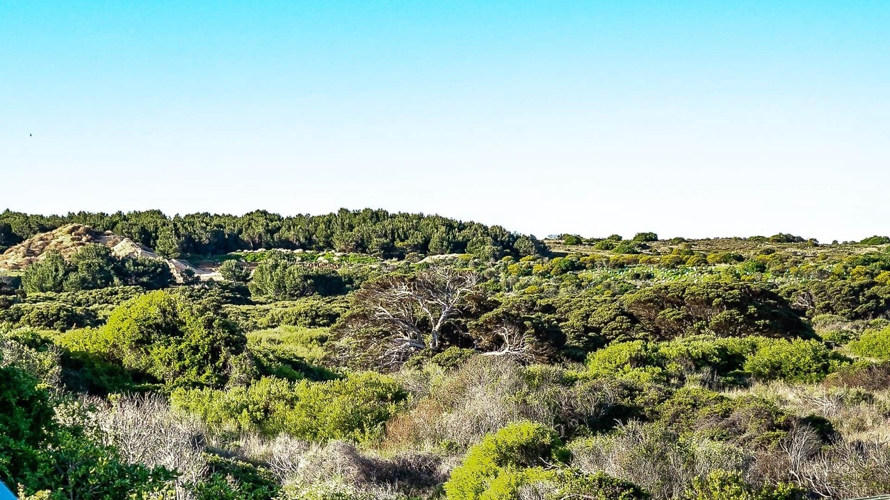 Photo of Others in Middleton