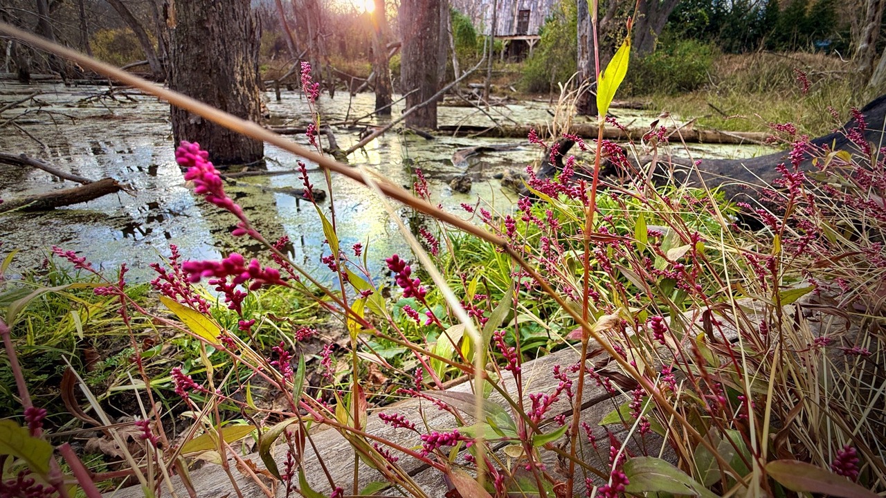 Photo of Outdoor in Bakerton