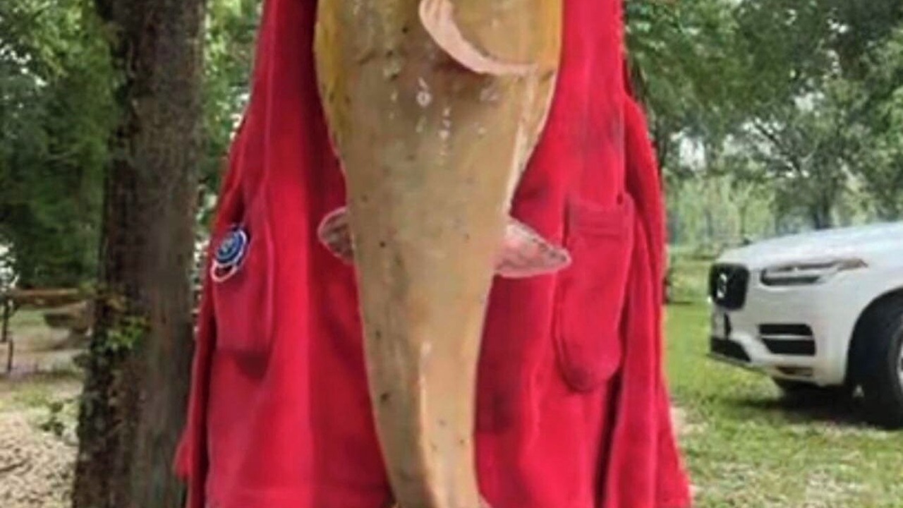 Photo of Others in Smithville