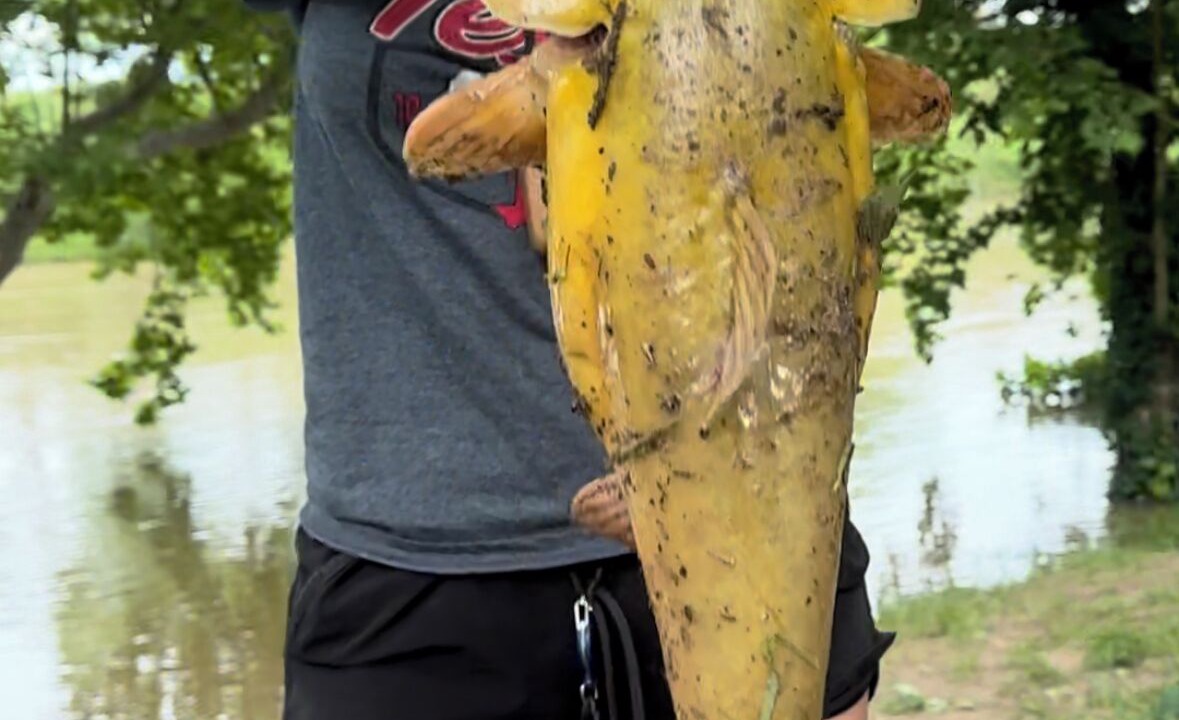 Photo of Others in Smithville