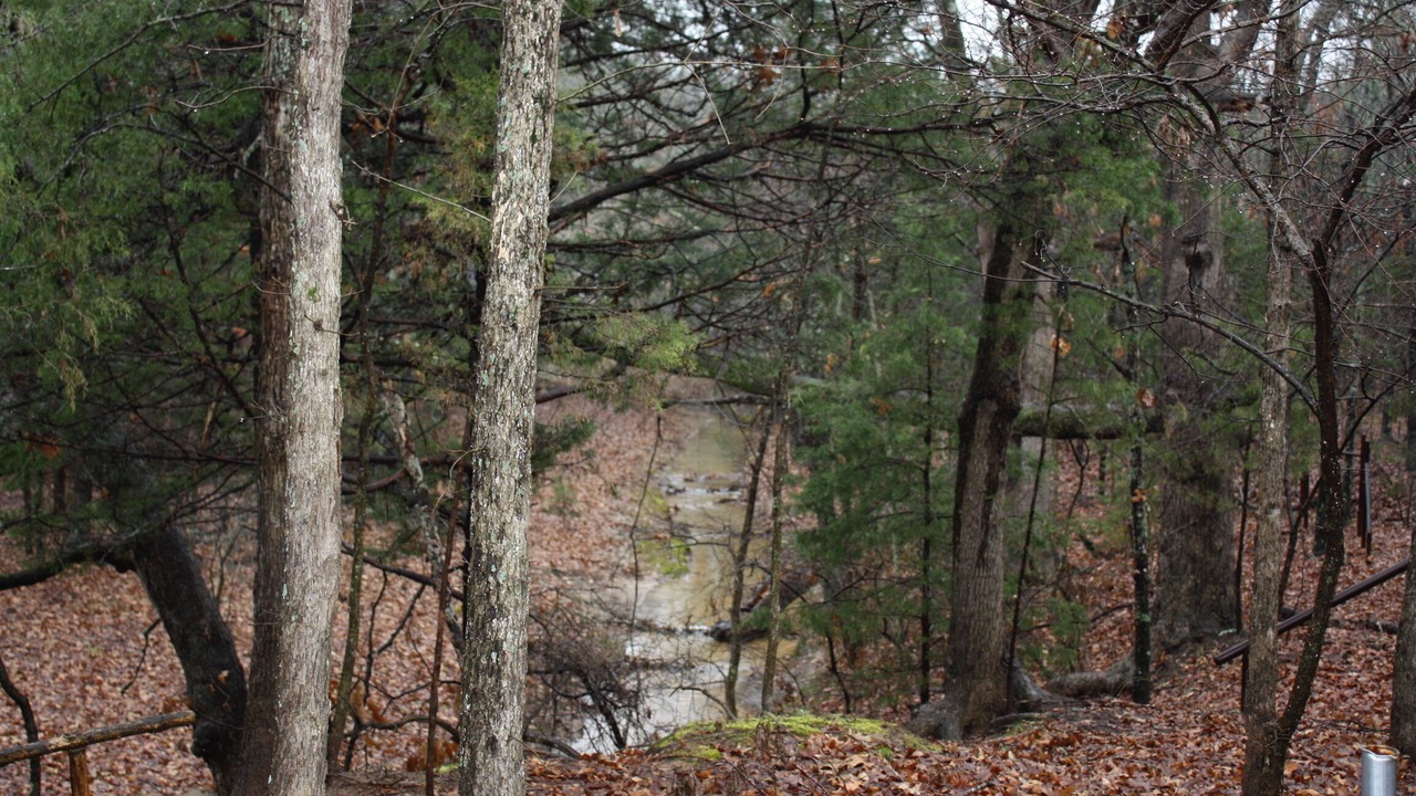 Photo of Others in Gordonville