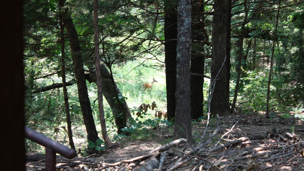 Photo of Others in Gordonville