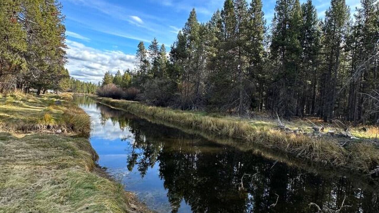 Photo of Others in Three Rivers