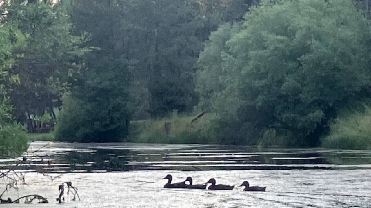 Photo of Others in Three Rivers