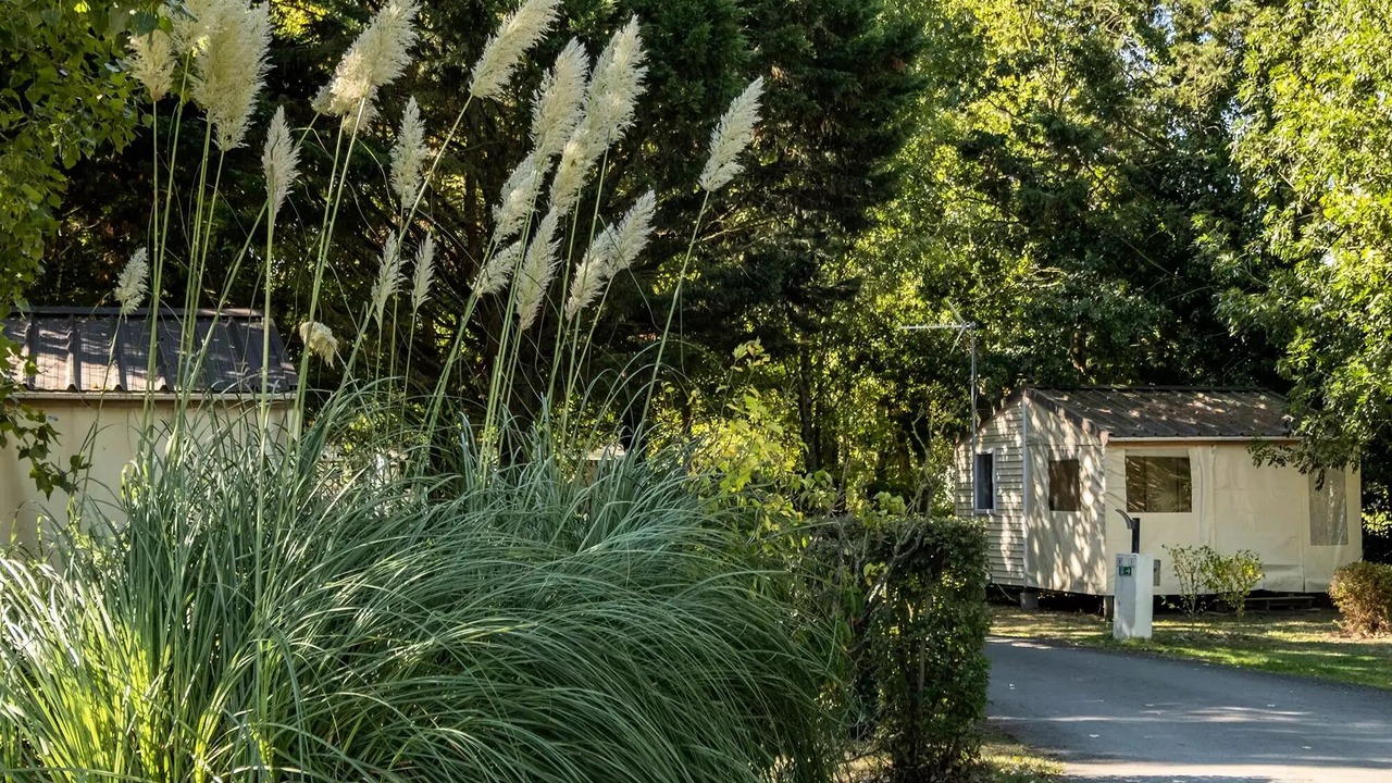 Photo of Outdoor in Saint-Michel-en-l'Herm