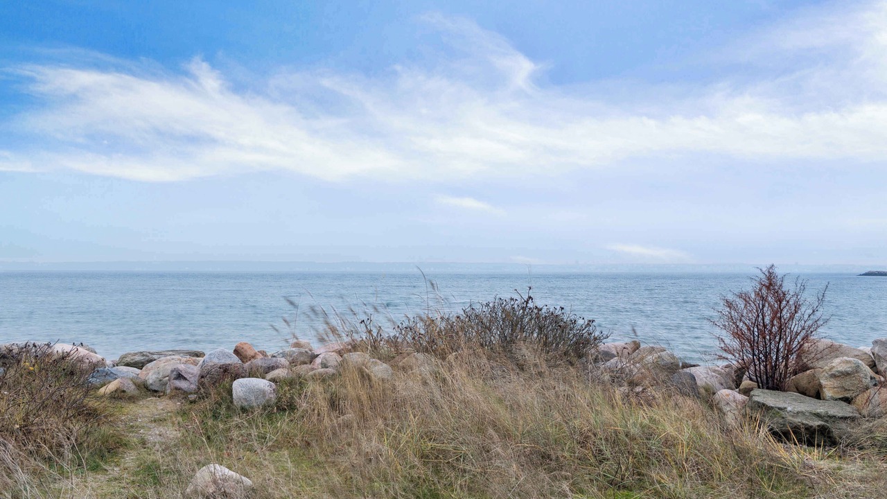 Photo of Others in Kronborg