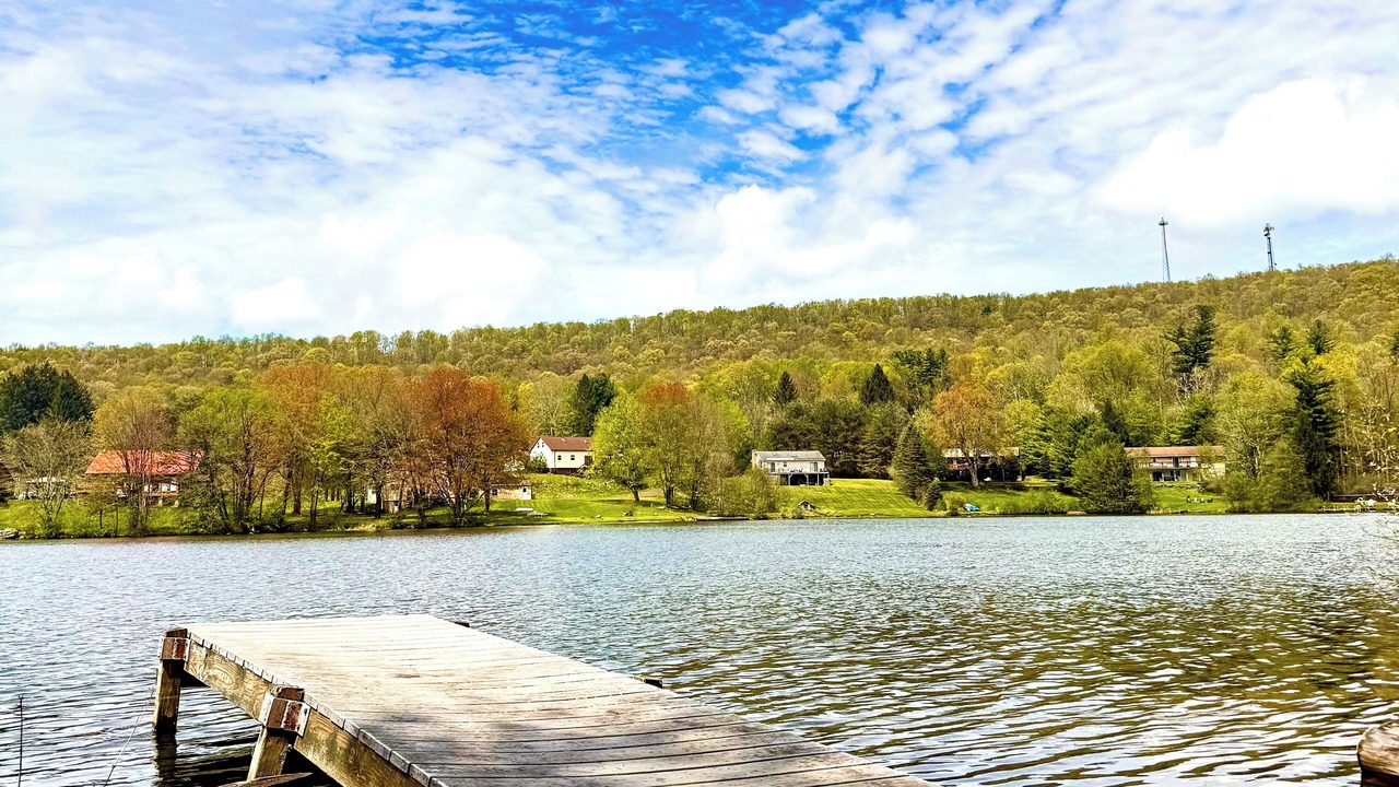 Photo of Others in White Haven