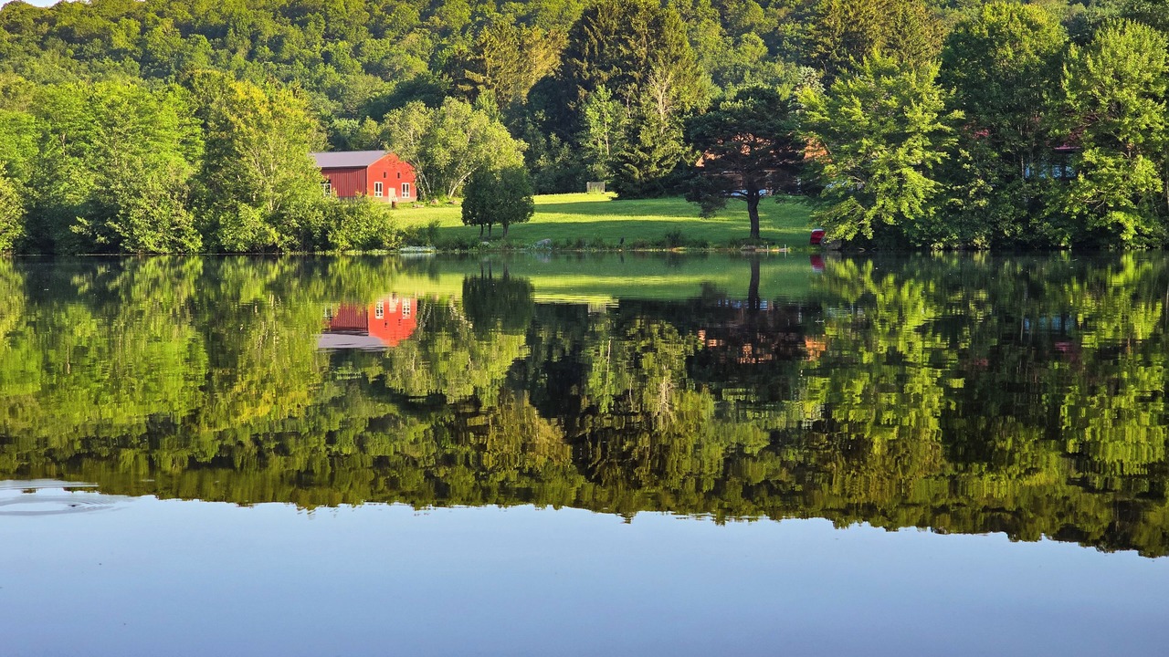 Photo of Others in White Haven