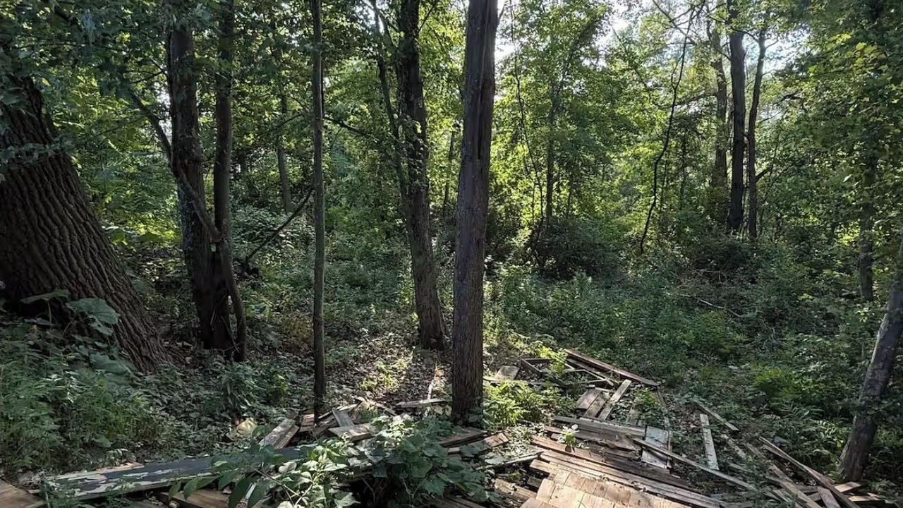 Photo of Others in Niskayuna