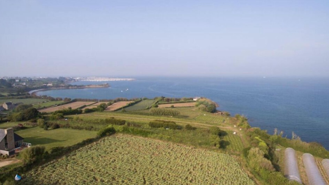 Photo of Outdoor in Roscoff