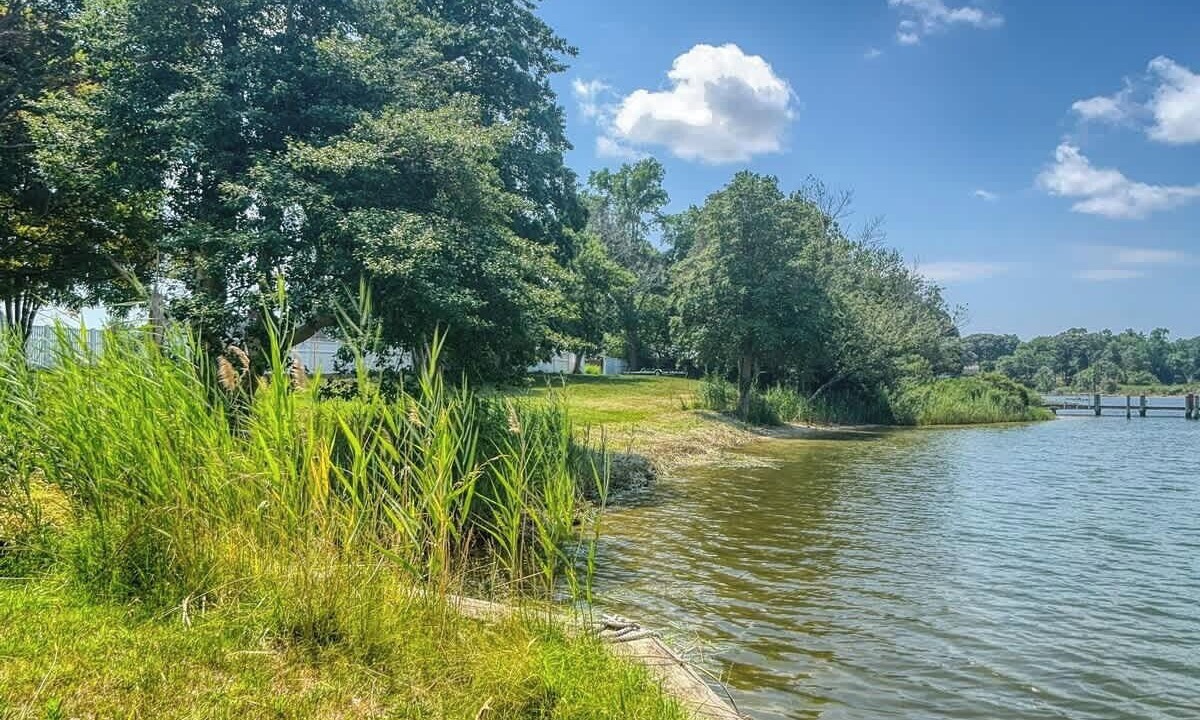Photo of Others in Lexington Park