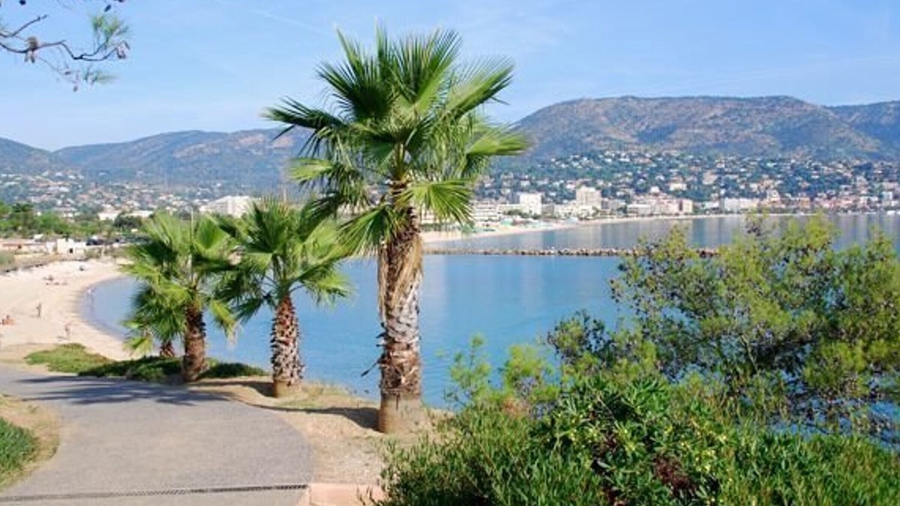 Photo of Others in La Faviere