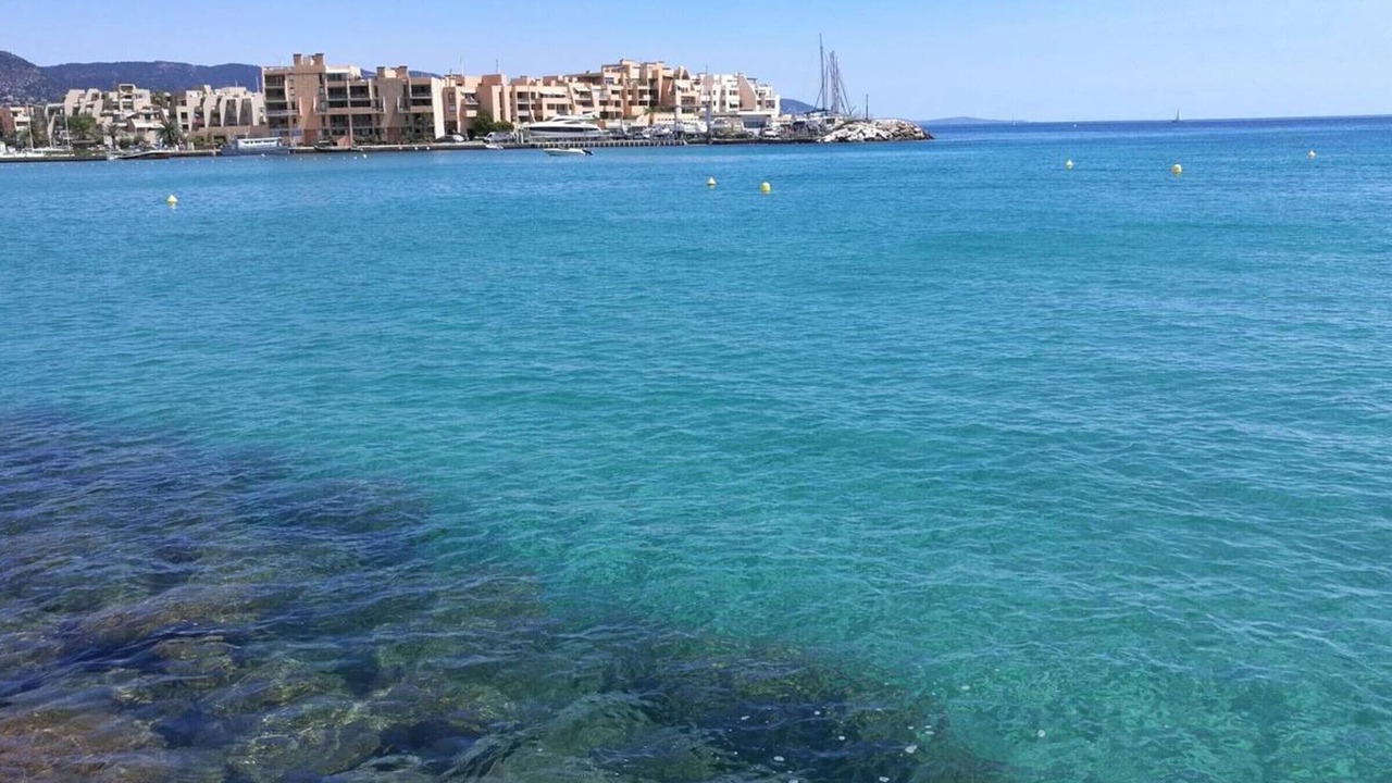 Photo of Others in La Faviere