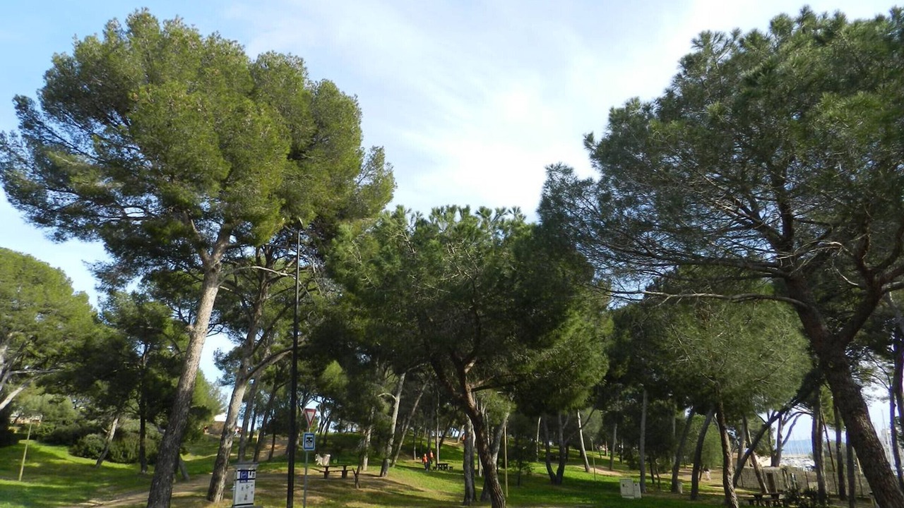 Photo of Others in La Faviere