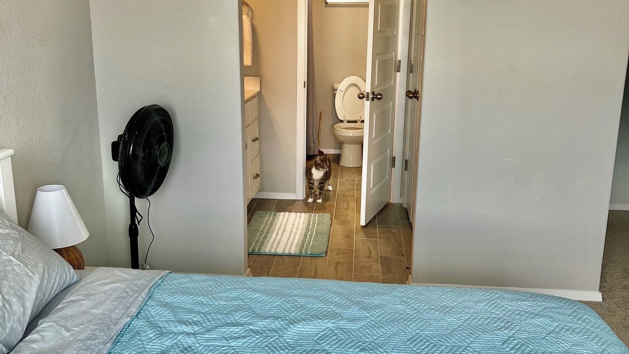 Photo of Bedroom in Elgin