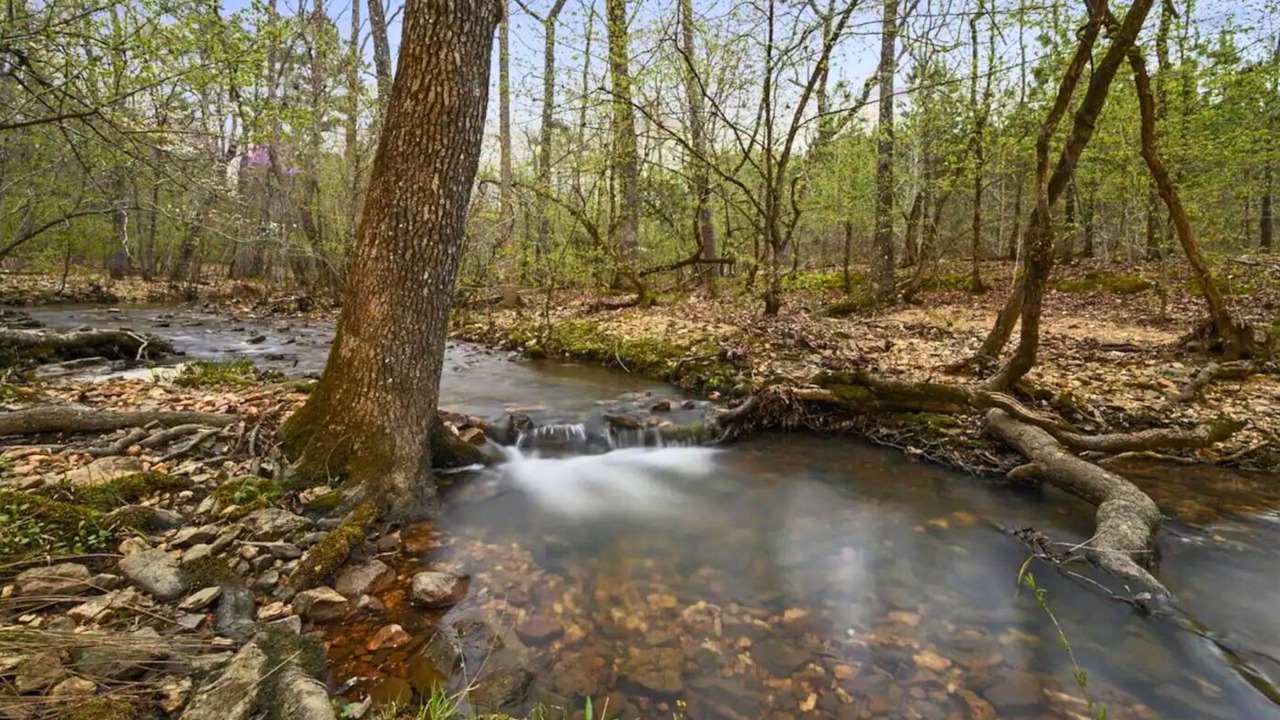 Photo of Others in Broken Bow