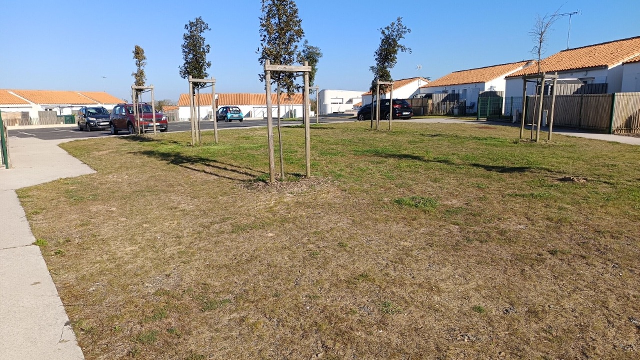 Photo of Outdoor in Fromentine