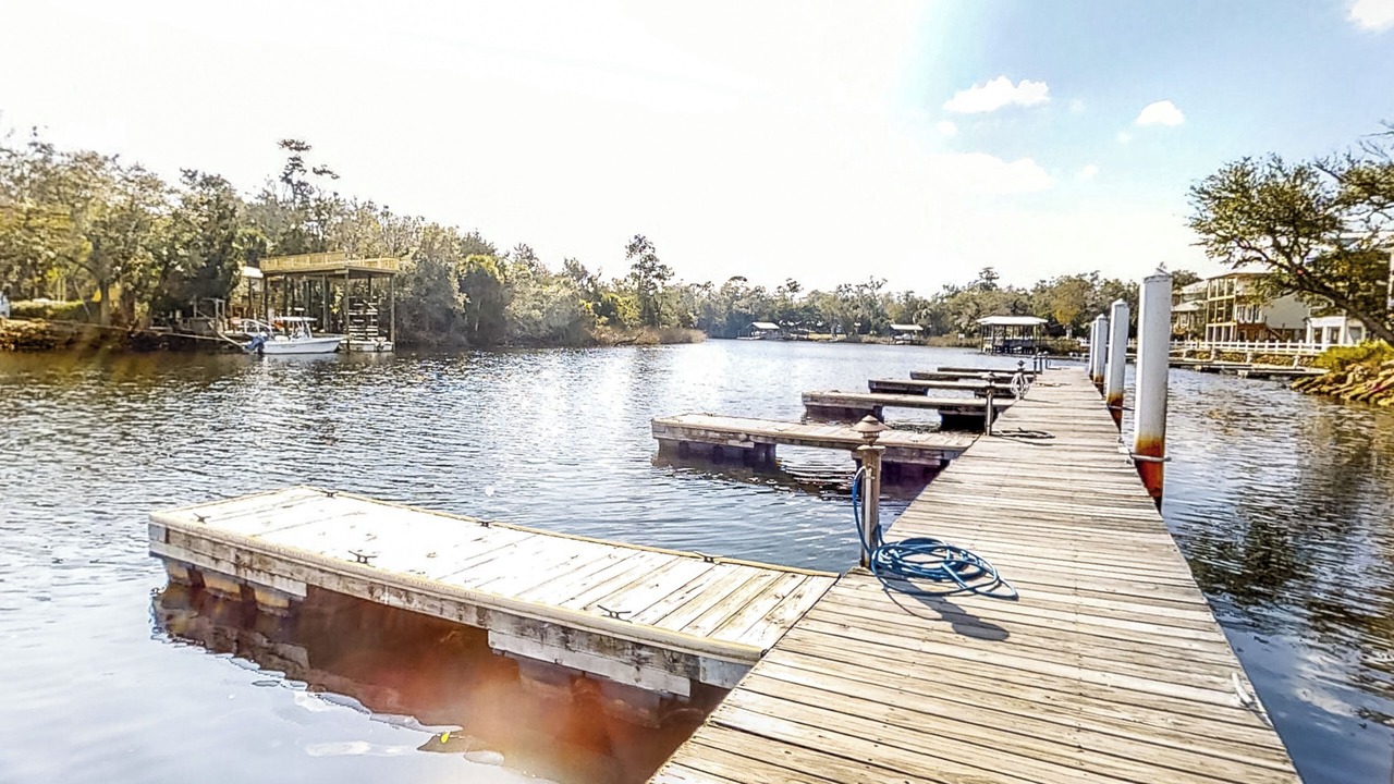 Photo of Others in Steinhatchee