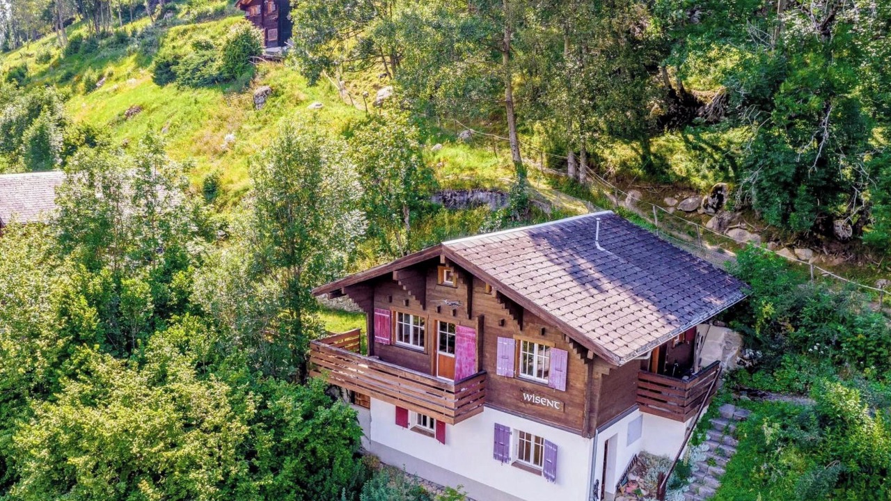 Photo of Others in Fiesch