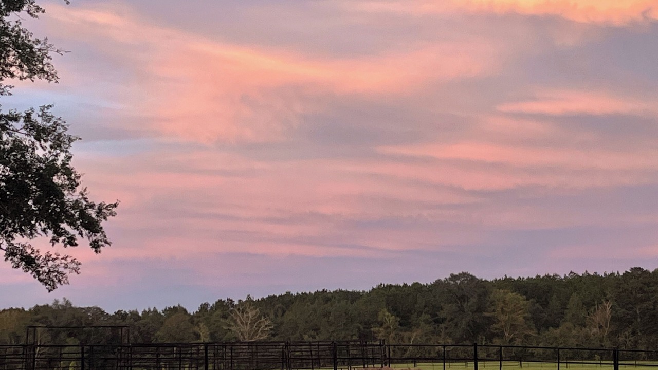 Photo of Others in Tylertown