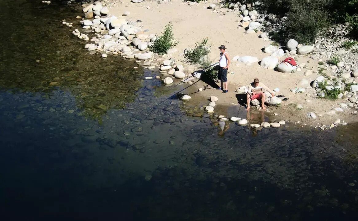 Photo of Others in Ribes