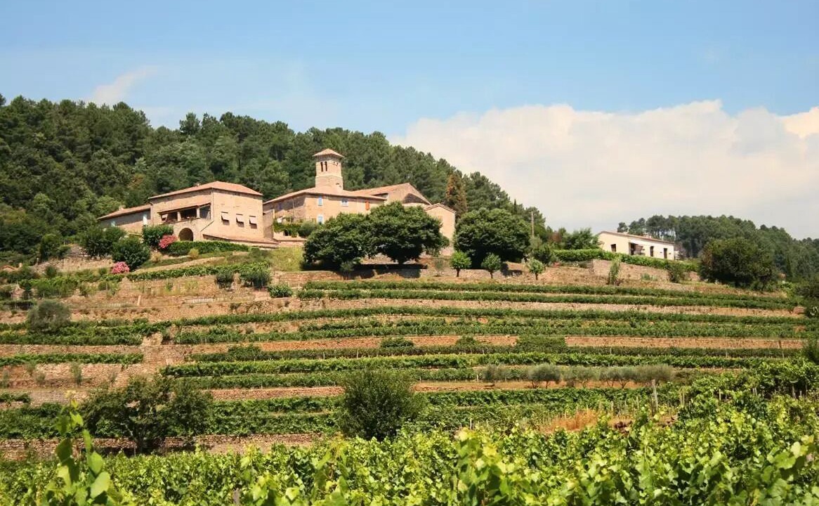 Photo of Outdoor in Ribes