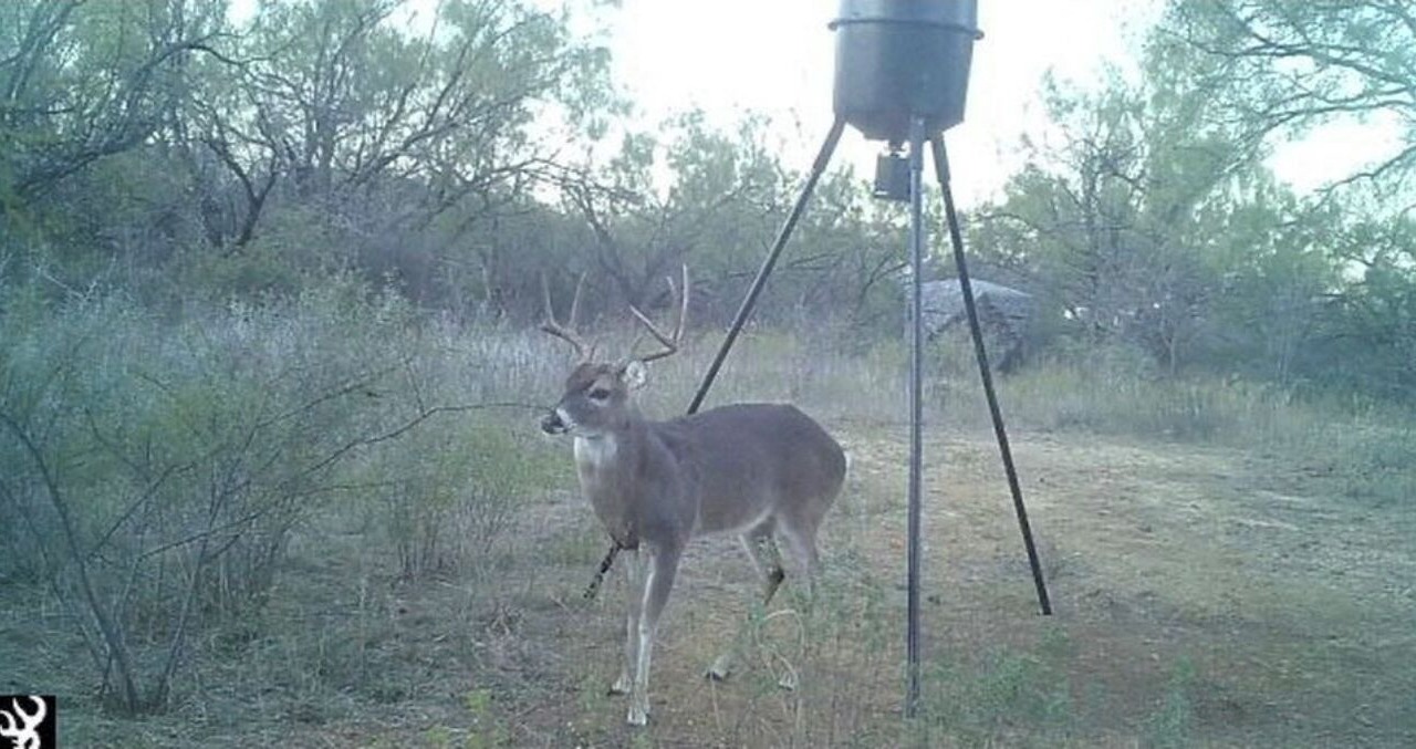 Photo of Others in Breckenridge
