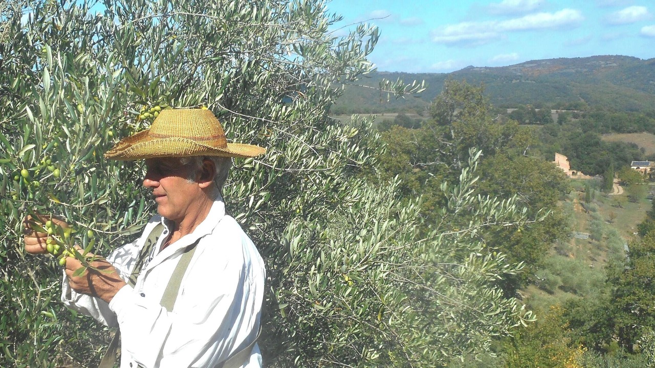 Photo of Others in Albieres